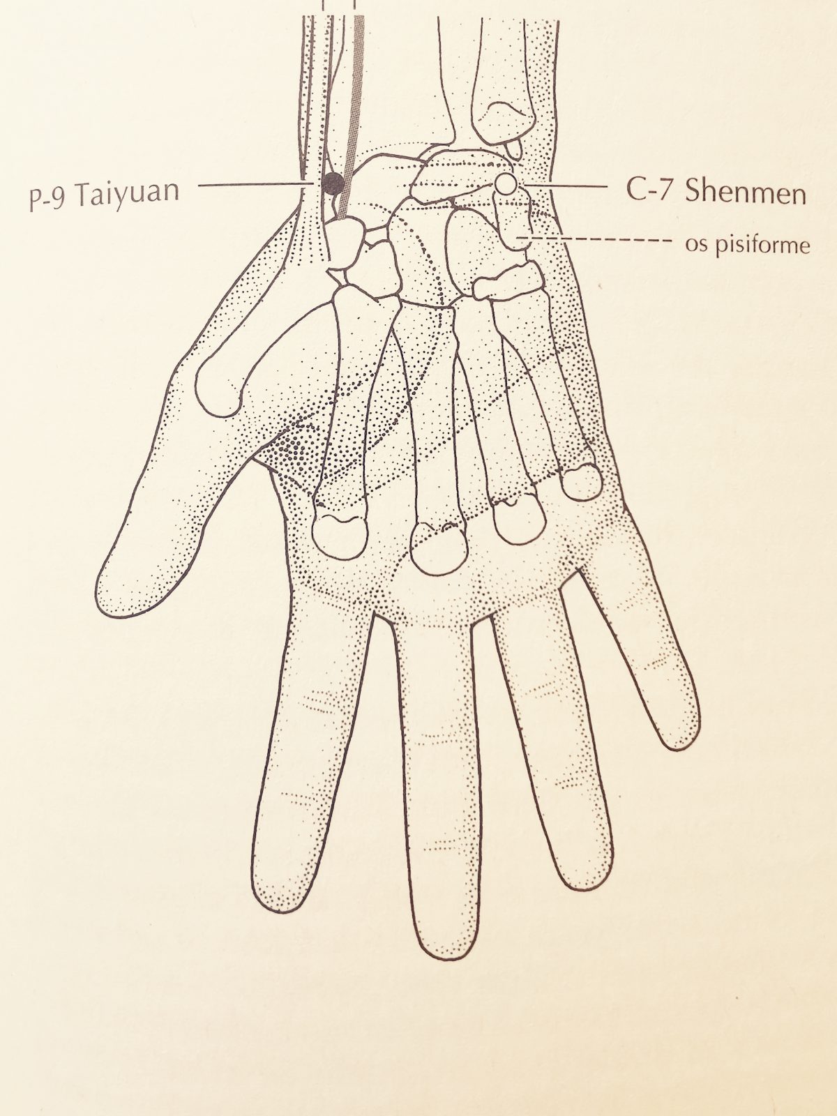 Mieux respirer et apaiser la tristesse hivernale avec un point d